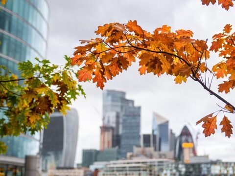 What Britain’s Justice Policy Shift Means for Feeling Safe in London